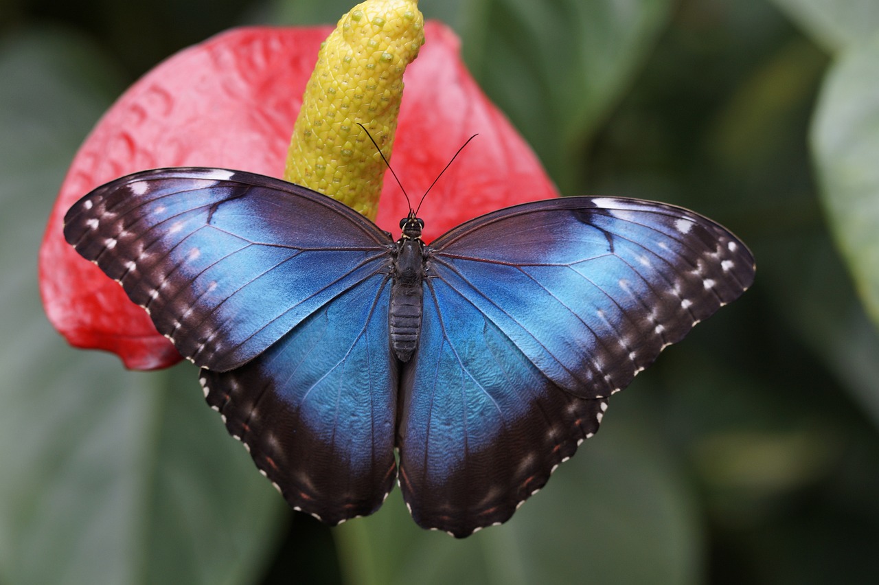 Why More People Are Turning Their Homes into Jungle-Like Rainforests