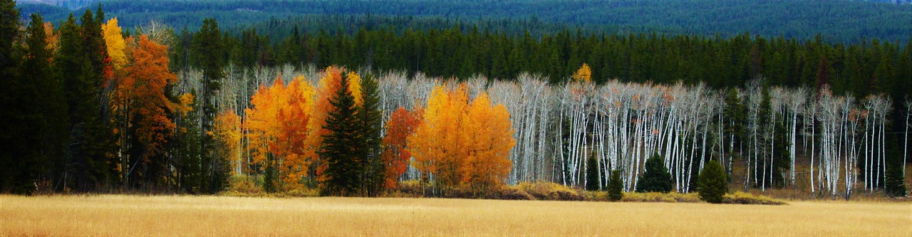 Aspen, Colorado