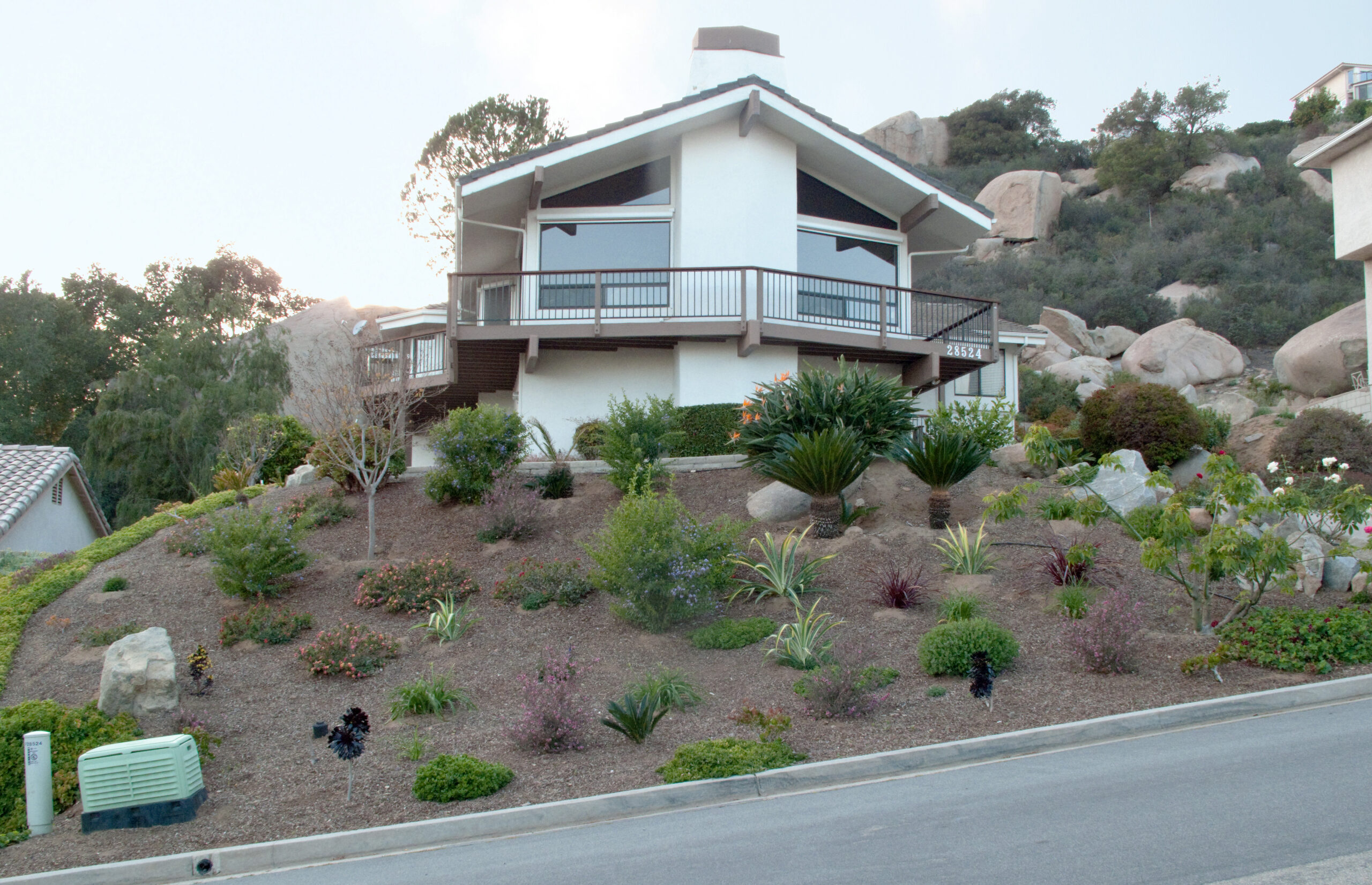 Desert-Inspired Garden