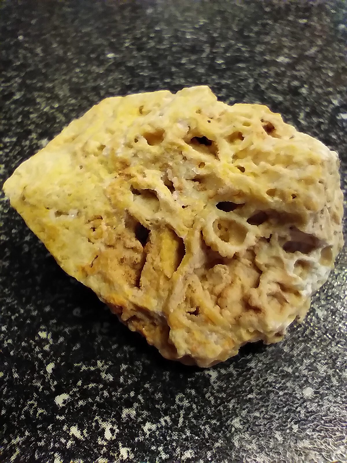 Travertine: Earthy Elegance