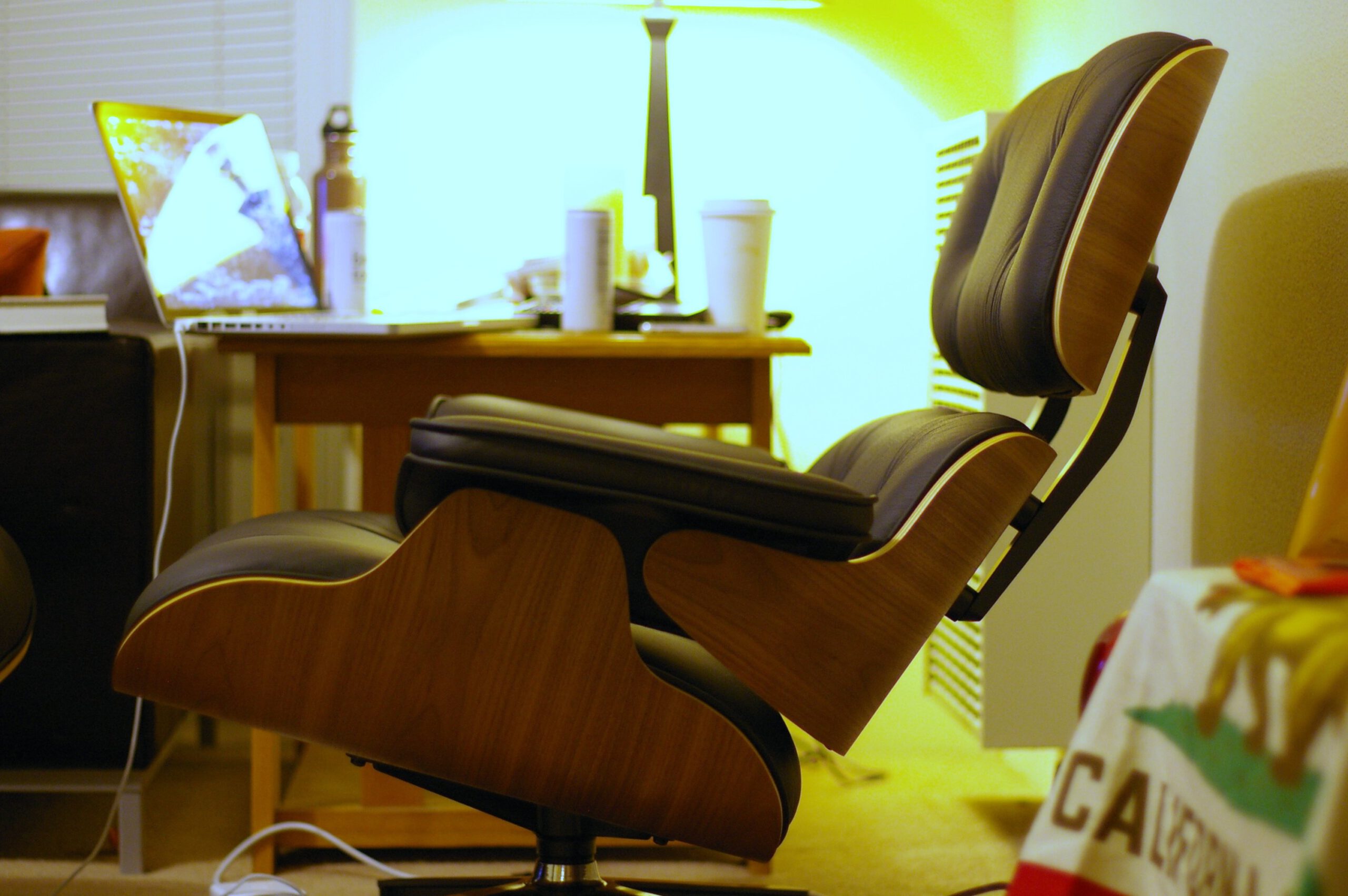 The Intrigue of an Eames Lounge Chair