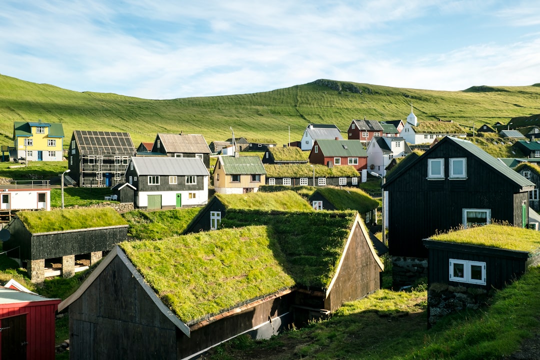 Green Roofs with Recycled Materials