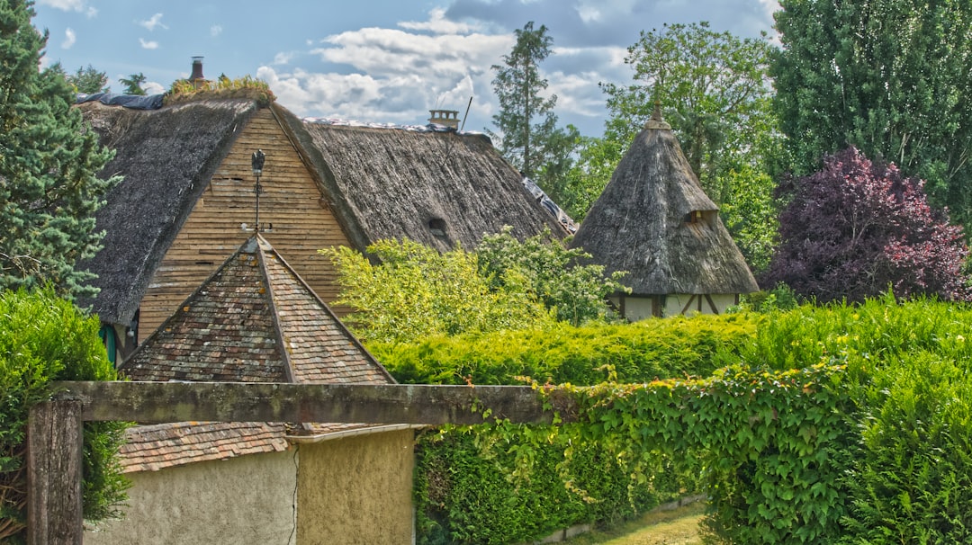 Cottage with Green Roof