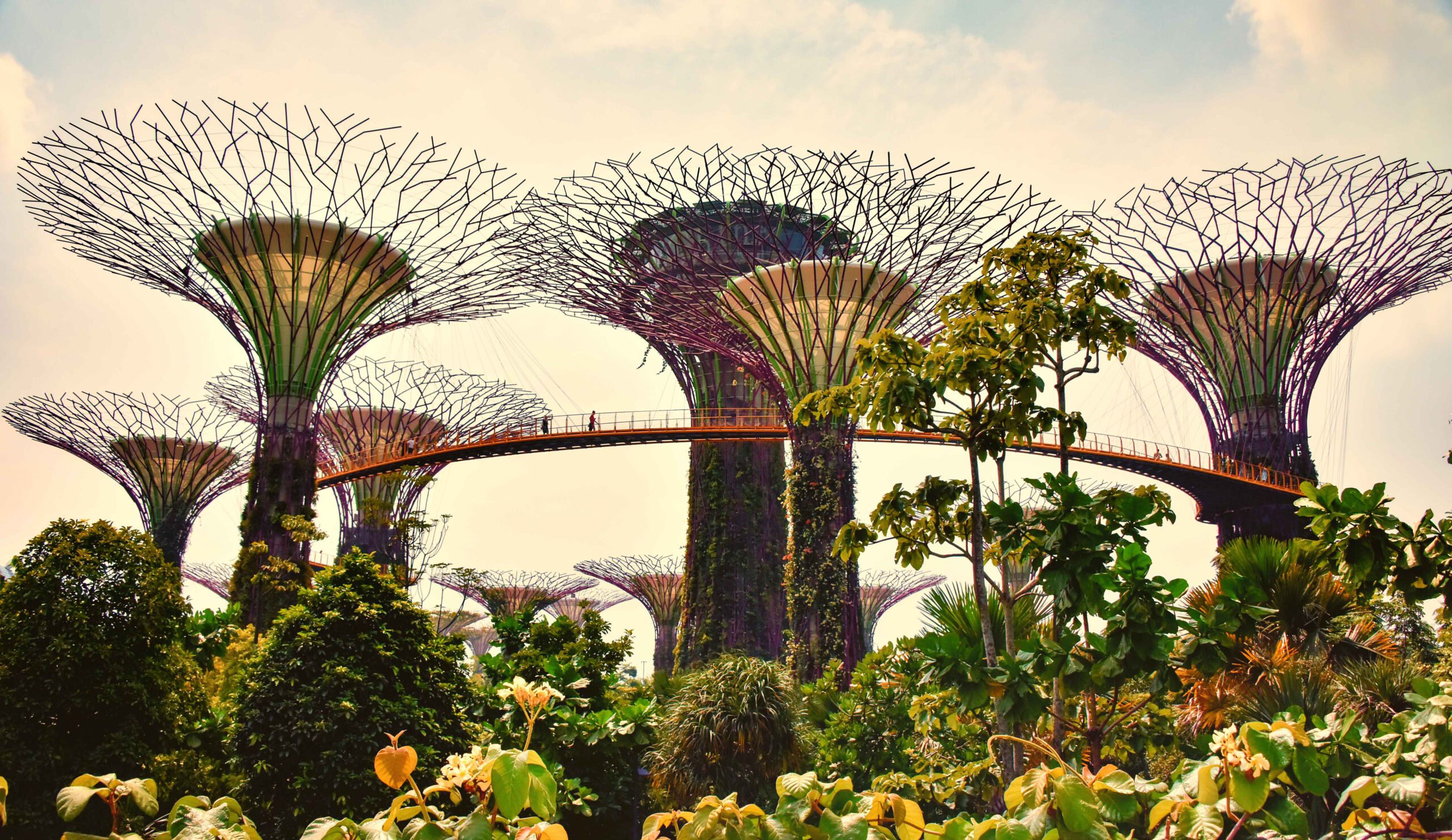 The Biophilic Oasis