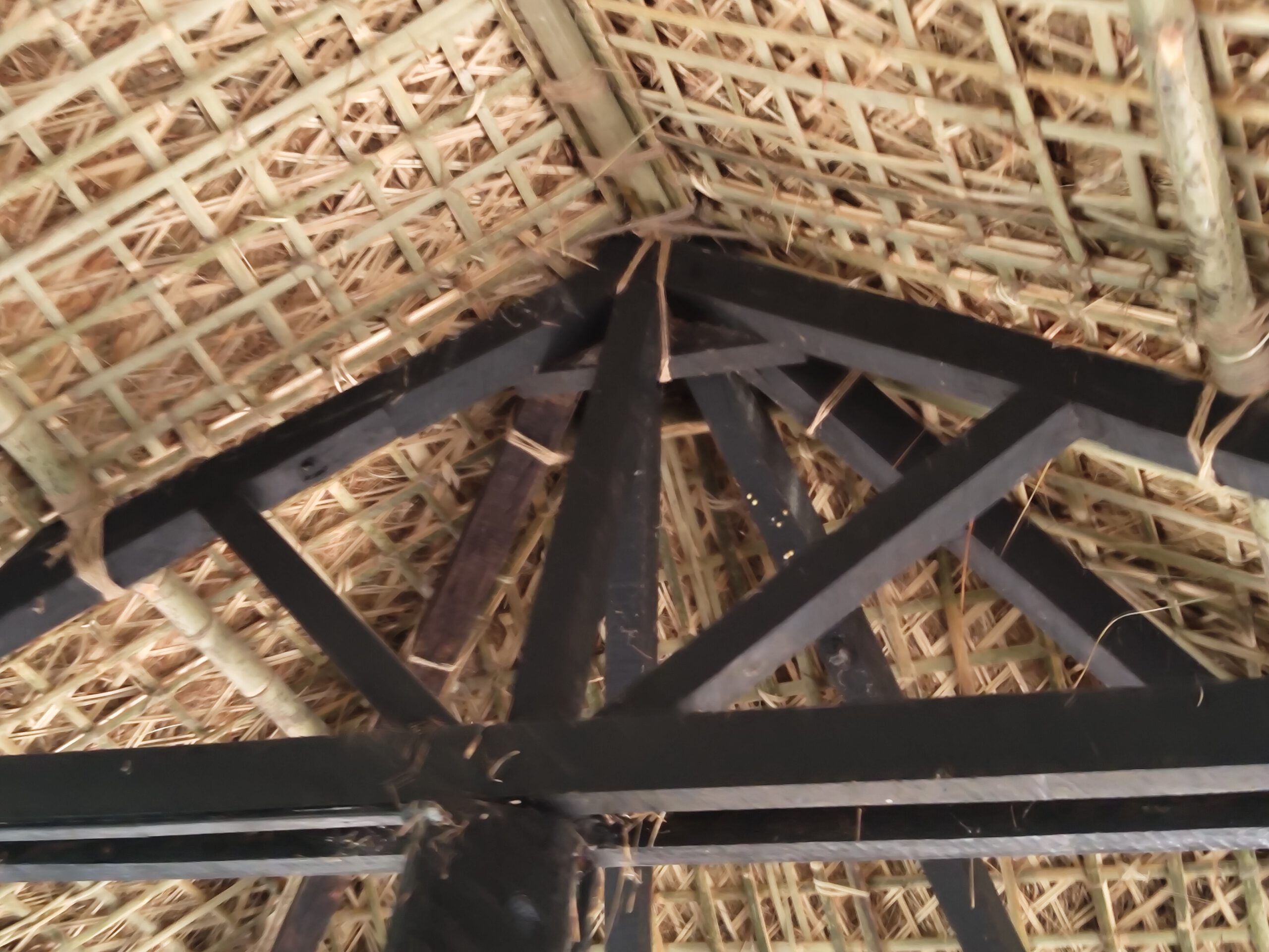 Sustainable Bamboo House