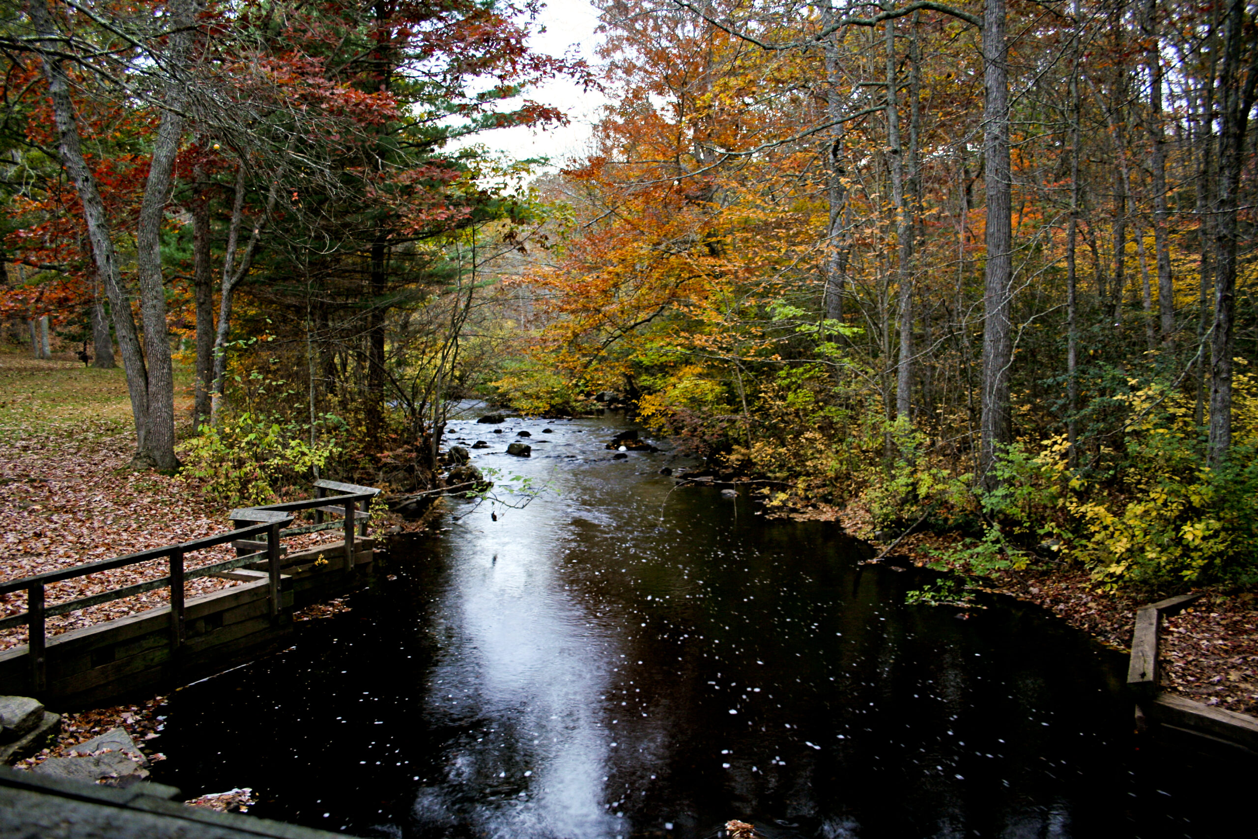 Devil’s Hopyard State Park (CT)