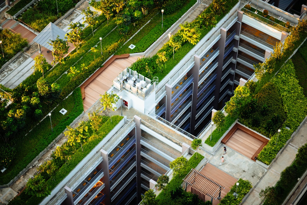 Rooftop Garden Paradise