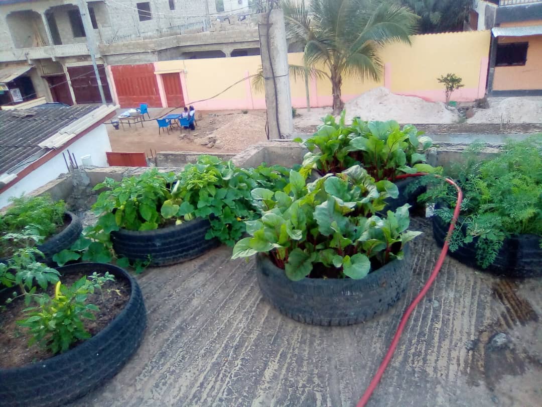 Urban Farm Rooftop