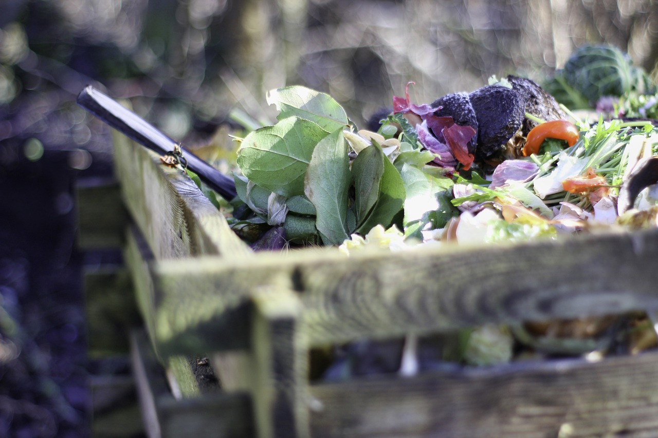 Why I Stopped Composting—and Why You Might Want To, Too