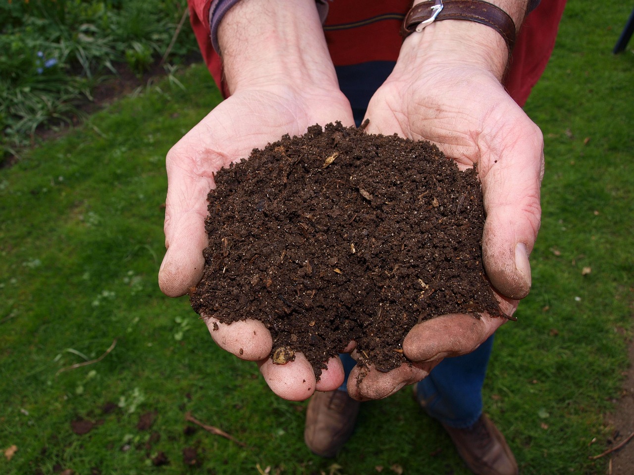 How to Compost Without Annoying Your Neighbors (Or Attracting Critters)