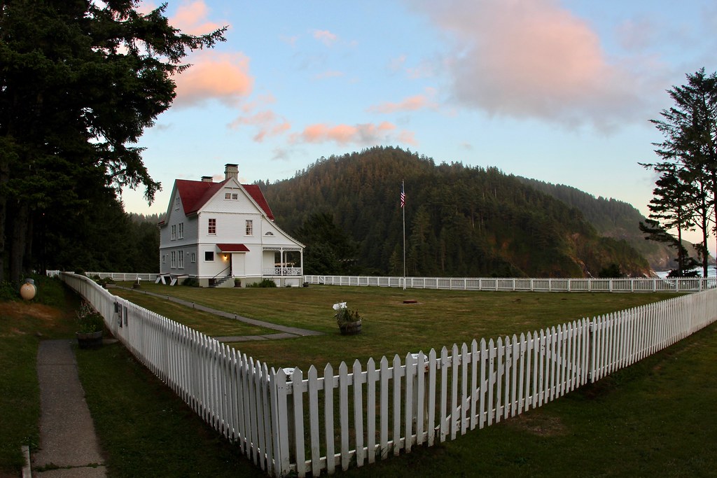 Fence or No Fence? The New Debate Over Friendly Yards (And Privacy)